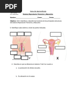 GUÍA Sistema Reproductor Femenino y Masculino Terminada