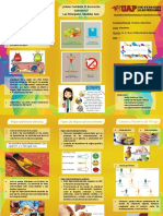 Triptico de Hipercolesterolemia