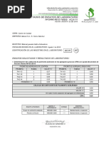 Pulimiento Acelerado