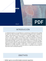 Sem 2. Enfermedad Coronaria Isquémica