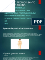 Aparato Reproductor Masculino y Femanino