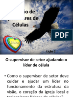 A Função Do Supervisor