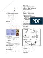 Cestodos Intestinales y Tisulares II