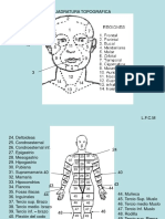 Cuadratura Topografica Cuerpo