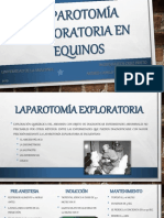 Laparotomía Exploratoria en Equinos