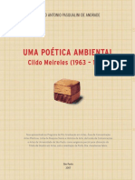 Uma Poetica Ambiental - Cildo Meireles Algo Sobre Historiografia Da Arte