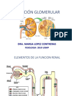 Filtración Glomerular 2019 (1) 1parte 