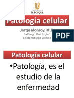 Patologia Celular