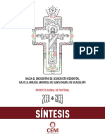 Sintesis PGP Catequesis Misionera