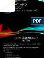 Integumentary System