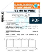 Ficha de Etapas de La Vida para Segundo de Primaria