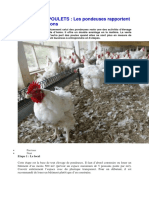 Elevage de Poulets