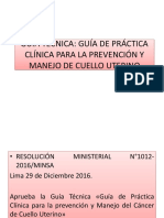 Guía Técnica Cáncer