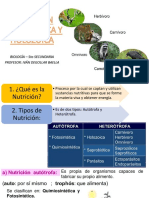 Nutricion