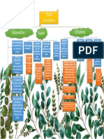 Plant Hormone Auxin Ethylene: Gibberellins