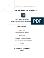 Informe-Microbiologia de Alimentos