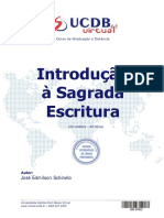 Introdução A Sagrada Escritura