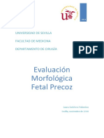 Evaluación Morfologica Ecografia Preco