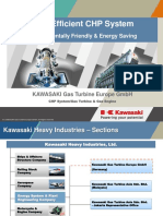 Cristian Athanasovici Kawasaki PDF