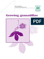 Cultivating Granadillas