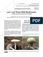 Don't Eat Those Wild Mushrooms: Unless You Know What You Are Doing!