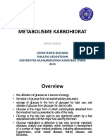 Metabolisme Karbohidrat