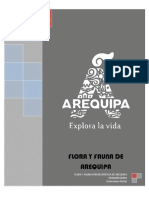 Taller Arequipa