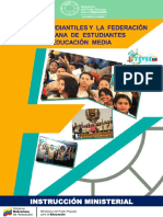 0 Instruccion Feveem PDF