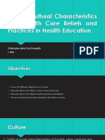 Filipino Cultural Characteristics and Health Care Beliefs