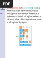 Algebra Lineal Pivote PDF