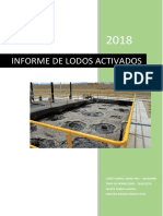 Informe Final de Análisis de Agua