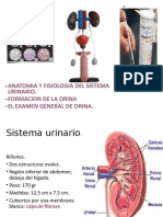 Sistema RenaL EGO