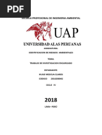 Trabajo Academico Indentificacion de Riesgos Ambientales Hugo Mescua Claros