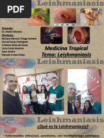 Leishmaniasis en Py