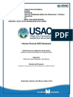 Seminario Grupo 1. Walter Barrios2c Causas y Consecuencias Del Embarazo en Adolescentes.