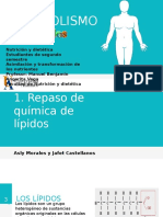 Metabolismo de Lipidos Final