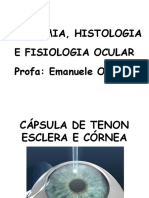 Optometria - Aula 13 e 14 - Cápsula de Tenon, Esclera e Córnea