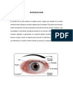 Anatomia Vista