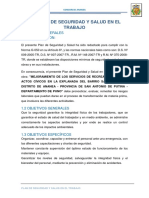 Plan de Seguridad y Salud en El Trabajo Ananea