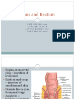 Anus and Rectum: Sam Grasso2019 Cara Reitz 2018 Joshua Dilday2017 Jake Swann 2016