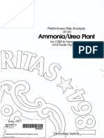 AMMONIA Preliminary Risk Analysis