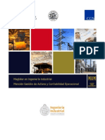 Magister en Ingeniería Industrial MAM PUCV Antofagasta 2017 PDF