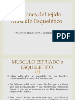 Funciones Del Tejido Músculo-Esquelético