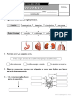 Ficha de Avaliação Diagnóstica - 4º Ano EM II