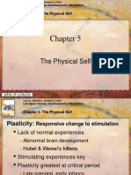 Chapter 5: The Physical Self