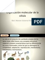 Organización Molecular de La Célula