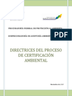 Directrices Proceso Certificaci N 2017 Completo