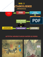 Heterotrop: Materi Cahaya