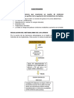 Cuestionario Terminado (D)