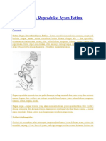 Sistem Organ Reproduksi Ayam Betina